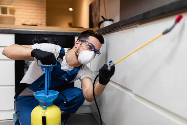 Best Pest Control Near Me in Roosevelt, NY