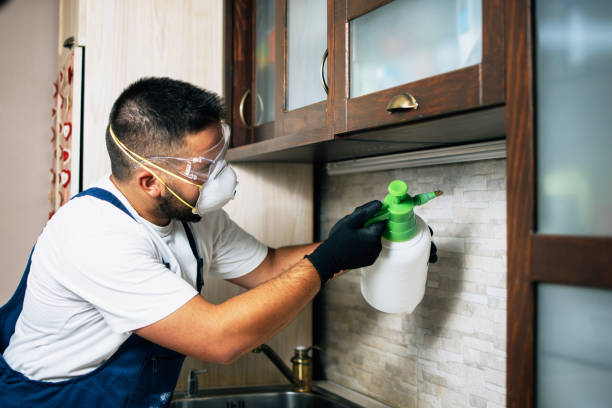 Best Commercial Pest Control Services  in Roosevelt, NY