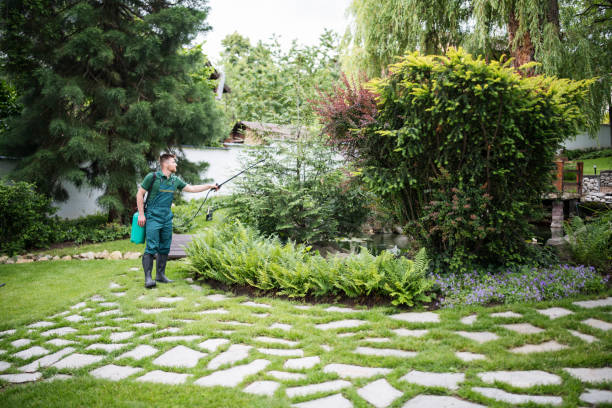 Best Pest Removal Services  in Roosevelt, NY