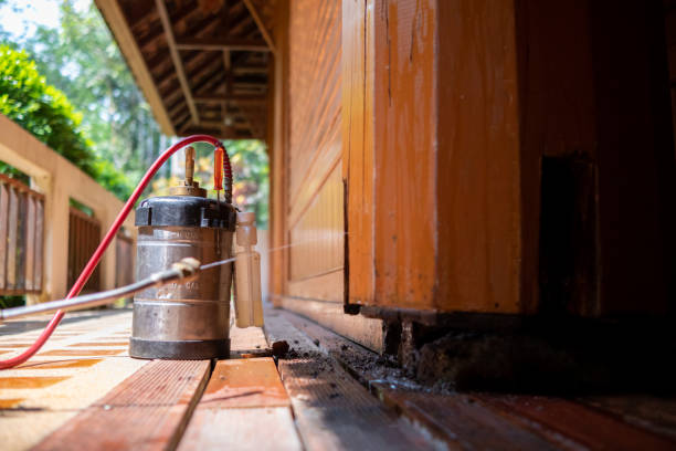 Best Mosquito Control Services  in Roosevelt, NY