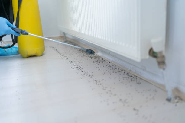 Best Best Pest Control Companies  in Roosevelt, NY